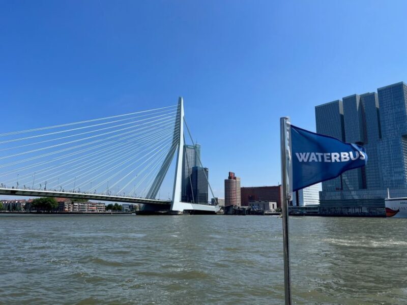 Rotterdam: Waterbus Ticket to Dordrecht and/or Kinderdijk - The Waterbus Experience — What You Can Expect