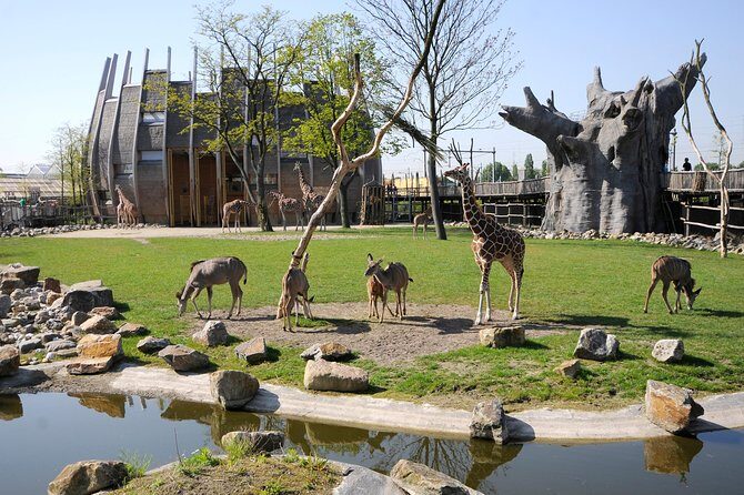 Rotterdam Zoo Diergaarde Blijdorp Direct Entrance Ticket - Rotterdam Zoo Diergaarde Blijdorp Direct Entrance Ticket Review