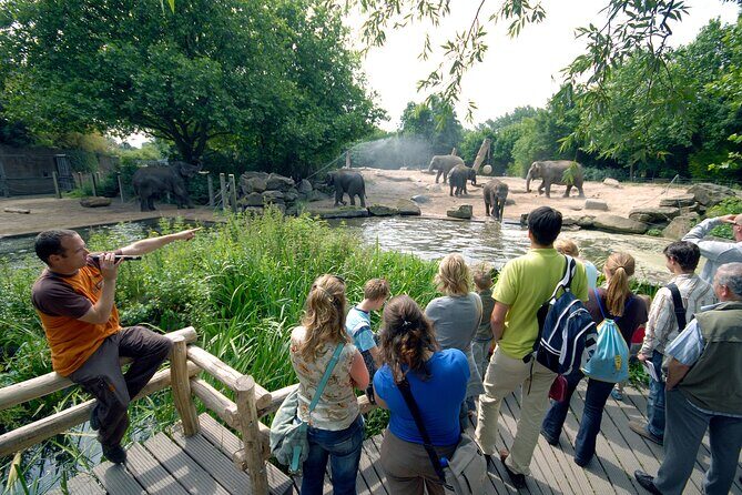 Rotterdam Zoo Diergaarde Blijdorp Direct Entrance Ticket - The Sum Up: Is Rotterdam Zoo Worth It?