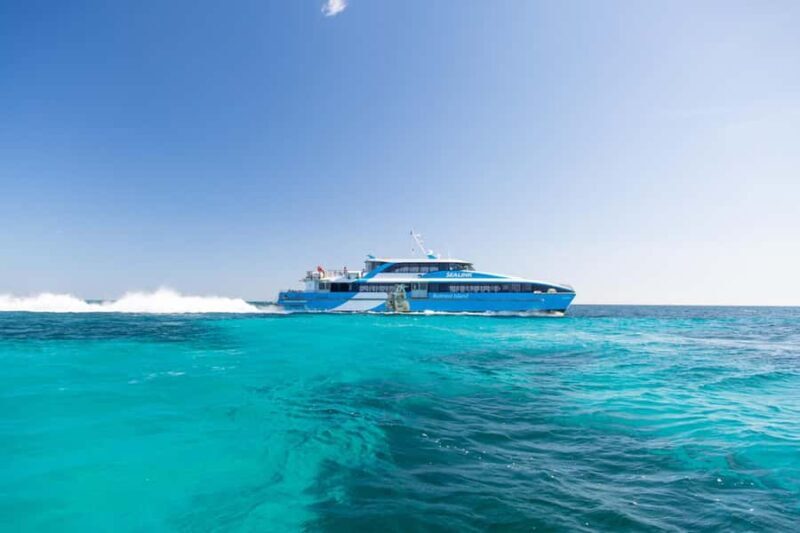 Rottnest Grand Island Package with Ferry, Tour & Light Lunch - Analyzing Value: Is It Worth It?