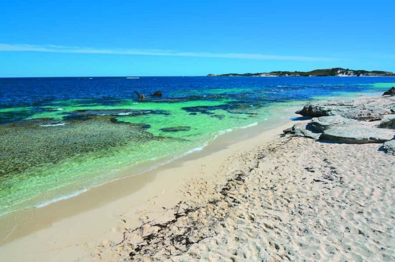 Rottnest Grand Island Package with Ferry, Tour & Light Lunch - Who Will Love This Tour?