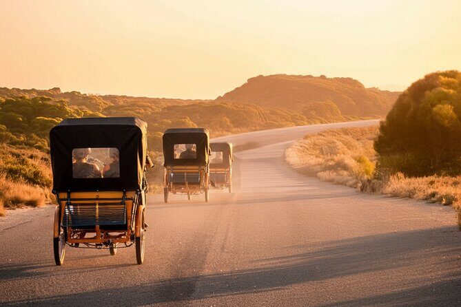 Rottnest Island 90-minute E-Rickshaw Adventure with Tour Guide - Who Will Love This Tour?