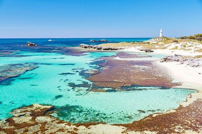 Rottnest Island All-Inclusive Grand Island Tour from Fremantle - Final Return and Disembarkation