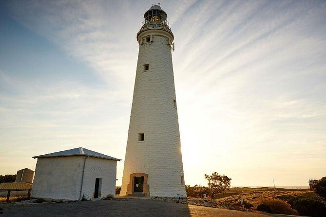 Rottnest Island All-Inclusive Grand Island Tour from Perth - An In-Depth Look at the Tour Itinerary