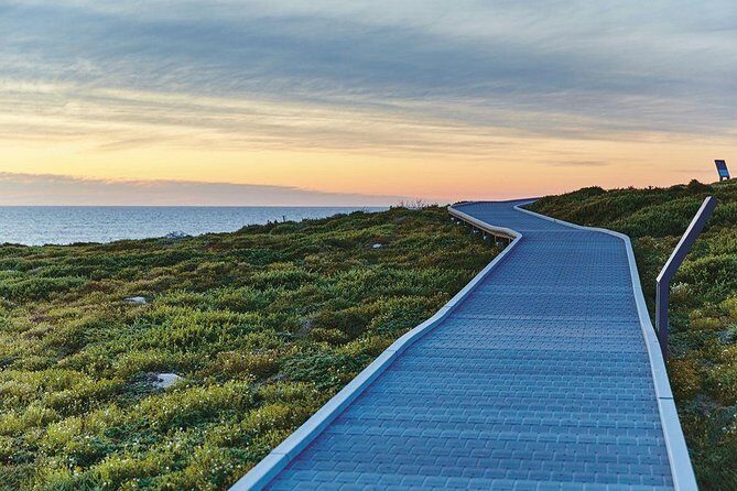 Rottnest Island Bayseeker Day Trip from Fremantle - A Closer Look at the Experience