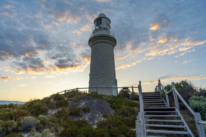 Rottnest Island - E-Rickshaw Tour with private guide - The Value of a Private Guide