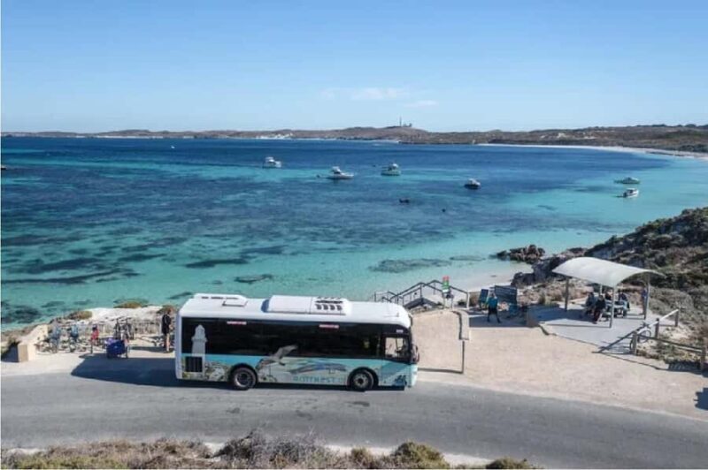 Rottnest Island Ferry and 1.75 Hr Bus Tour - Key Points