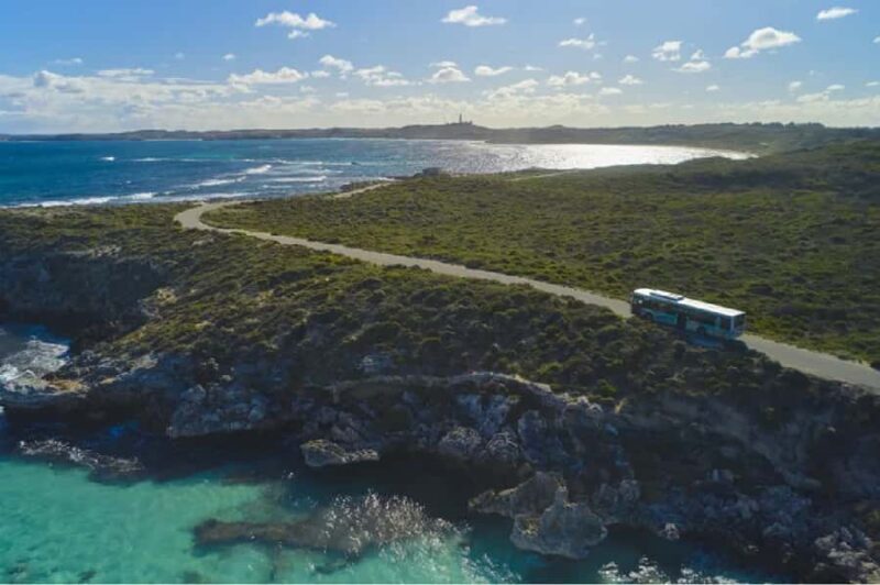 Rottnest Island Ferry and 1.75 Hr Bus Tour - A Well-Coordinated Itinerary for a Day of Discovery