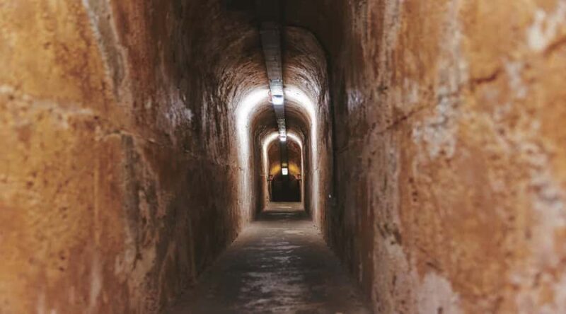 Rottnest Island: Grand Bus and Train Tour with Lunch - Key Points