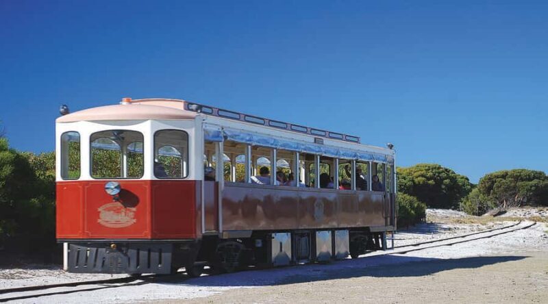 Rottnest Island: Grand Bus and Train Tour with Lunch - Authentic Insights from Travelers
