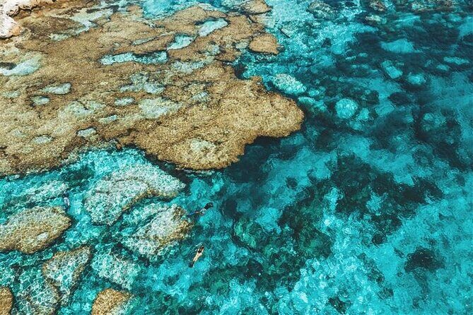 Rottnest Island Round Trip Ferry from Fremantle - Introduction: Exploring Rottnest Island by Ferry