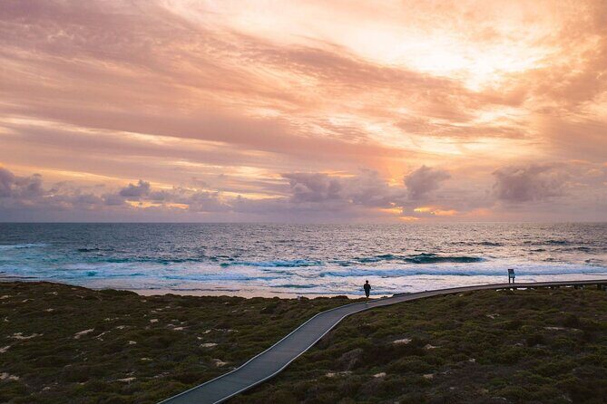 Rottnest Island Seals Sunset and West End Bus Tour - Why This Tour Might Be Perfect for You