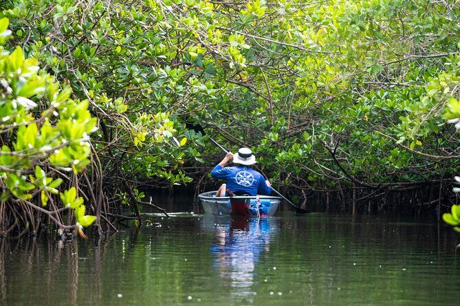 Round Island 2-Hour Glass Bottom Guided Kayak Eco Tour - A Close-Up Look at the Round Island 2-Hour Glass Bottom Guided Kayak Eco Tour