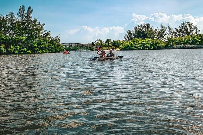 Round Island 2-Hour Glass Bottom Guided Kayak Eco Tour - What the Tour Offers: A Deep Dive