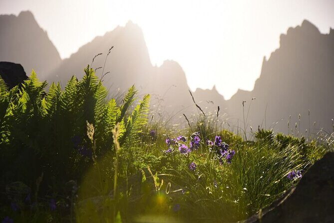 Round Trip Bus Transfer to Juta from Kazbegi - The Itinerary and What to Expect