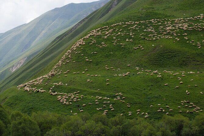 Round-Trip Bus Transfer to Truso Valley from Kazbegi - Exploring the Truso Valley from Kazbegi: A Practical and Scenic Transfer Service