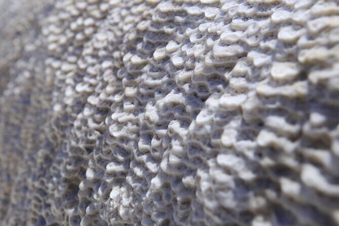 Round-Trip Bus Transfer to Truso Valley from Kazbegi - What to Expect from the Truso Valley Bus Transfer