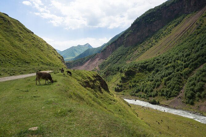 Round-Trip Bus Transfer to Truso Valley from Kazbegi - FAQ