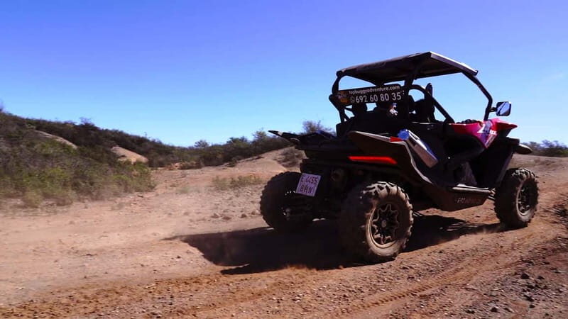 Round-Trip Coastal Buggy Tour in Tenerife - Key Points