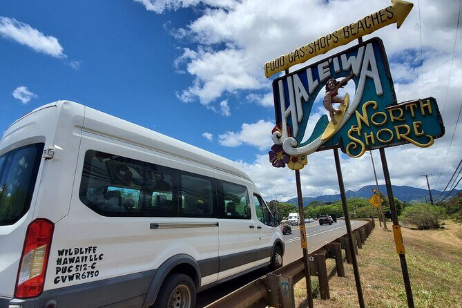 Round Trip North Shore Shuttle from Waikiki to Haleiwa Town / Haleiwa Harbor - Exploring the North Shore by Shuttle: A Practical Review of Wildlife Hawaii’s Round Trip from Waikiki to Haleiwa