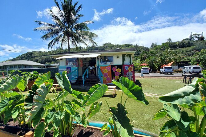 Round Trip North Shore Shuttle from Waikiki to Haleiwa Town / Haleiwa Harbor - Key Points