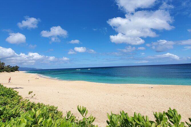 Round Trip North Shore Shuttle from Waikiki to Haleiwa Town / Haleiwa Harbor - The Sum Up: The Practical Choice for a North Shore Day Trip