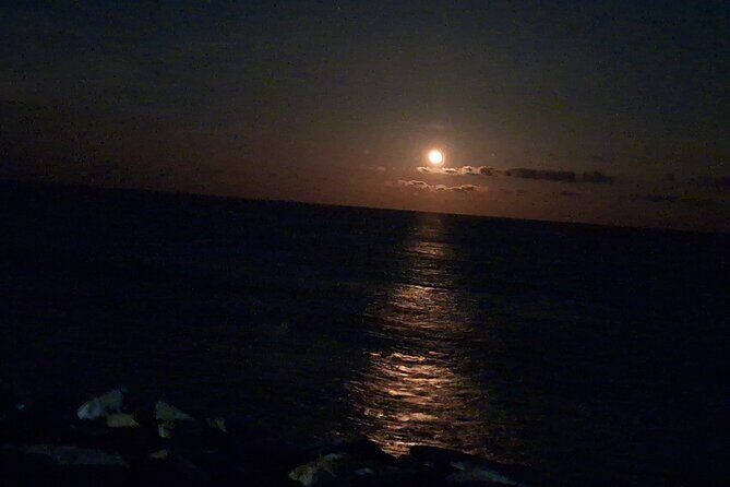 Round Trip Private Trip Los Cabos Airport to Cabo San Lucas - A Closer Look at the Service