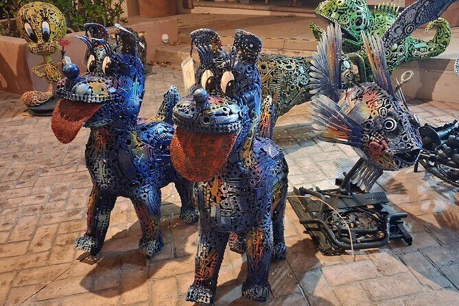 Round Trip Private Trip Los Cabos-San Jose Cabo Airport - Who Is This Transfer Best For?