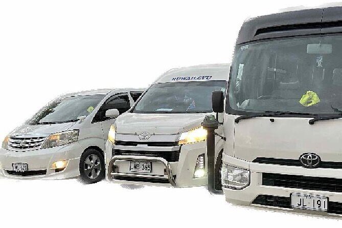 Round Trip Transfer-Nadi Airport to Denarau Island Resorts - Practical Tips for Travelers