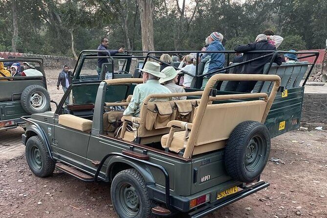 Round Trip Transfers to Ranthambore Fort Ganesh Temple in a Gypsy - A Deep Dive into the 3-Hour Ranthambore Experience