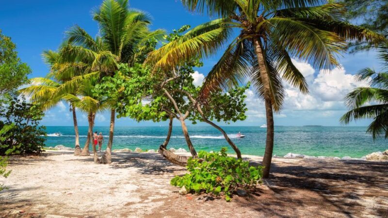 Round Trip Transportation to Key west from Miami - Key Points