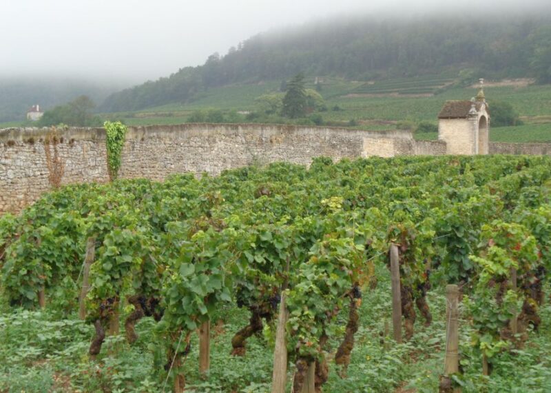 "Route des grands crus", private wine tasting in Burgundy ! - Itinerary Breakdown: From Vineyards to Scenic Vistas