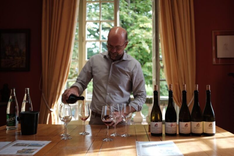 "Route des grands crus", private wine tasting in Burgundy ! - The Scenic Drive and Photo Opportunities