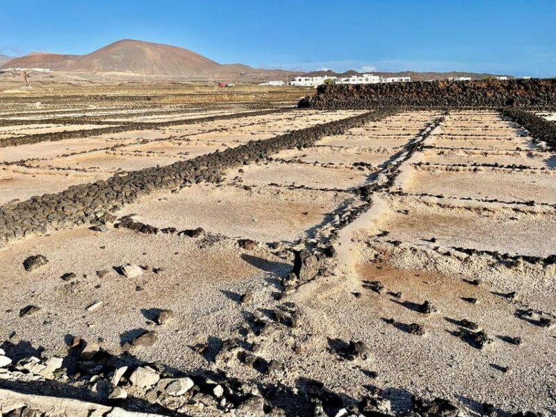 Route guided on the volcanic coast of Lanzarote. - Key Points