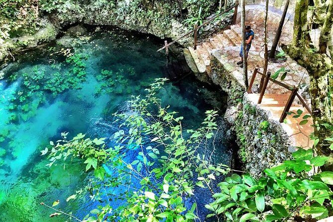 Route of the cenotes (ZAPOTE) - Introduction: Why This Cenote Tour Stands Out