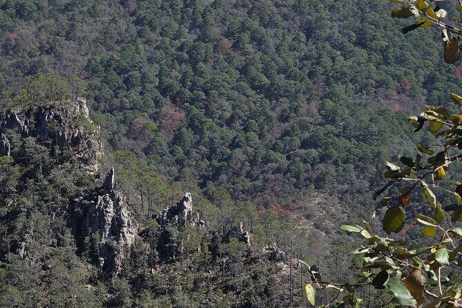 Route to the Peñas Cuatas Science Forest and Adventure - An Authentic Adventure at Peñas Cuatas: A Nature and Science Tour