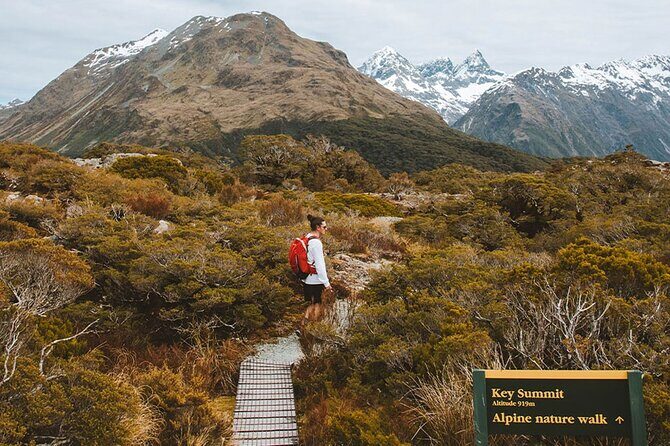 Routeburn Guided Day Hike from Te Anau with Lunch & Transport - Authentic Feedback and Real Experiences
