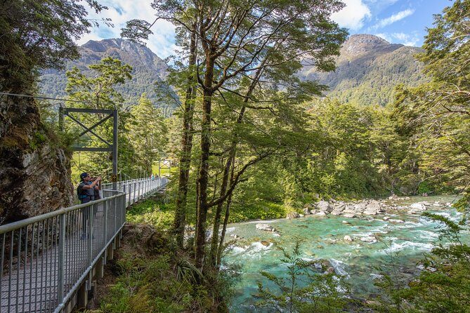 Routeburn Track Guided Hike (Full Day) - An In-Depth Look at the Guided Hike