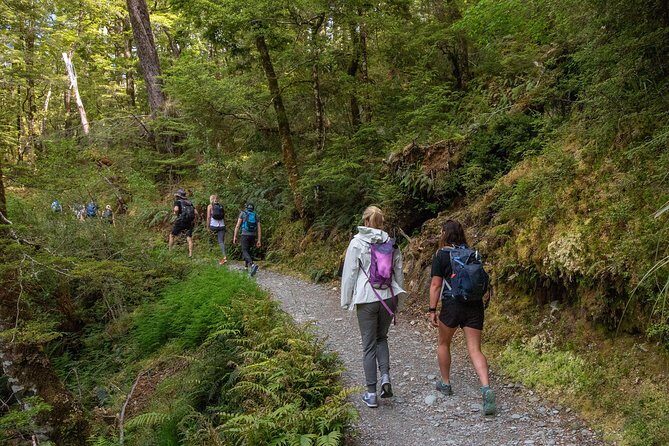 Routeburn Track Guided Walk (Half-Day) - An Introduction to the Scenic Wonders of the Routeburn Track