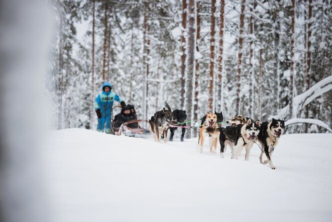 Rovaniemi 2 days Activities Package - FAQ