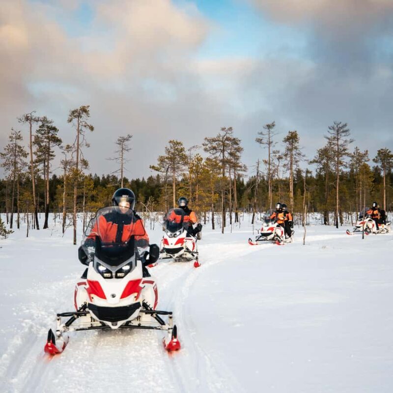 Rovaniemi: 3h Electric Snowmobile Safari at Reindeer Farm - Rovaniemi: 3h Electric Snowmobile Safari at Reindeer Farm