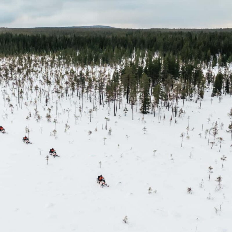 Rovaniemi: 3h Electric Snowmobile Safari at Reindeer Farm - Practical Details and Value