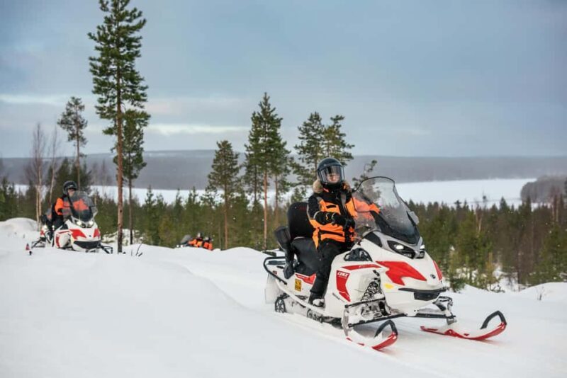 Rovaniemi: 4h Electric Snowmobile Safari at Reindeer Farm - Key Points