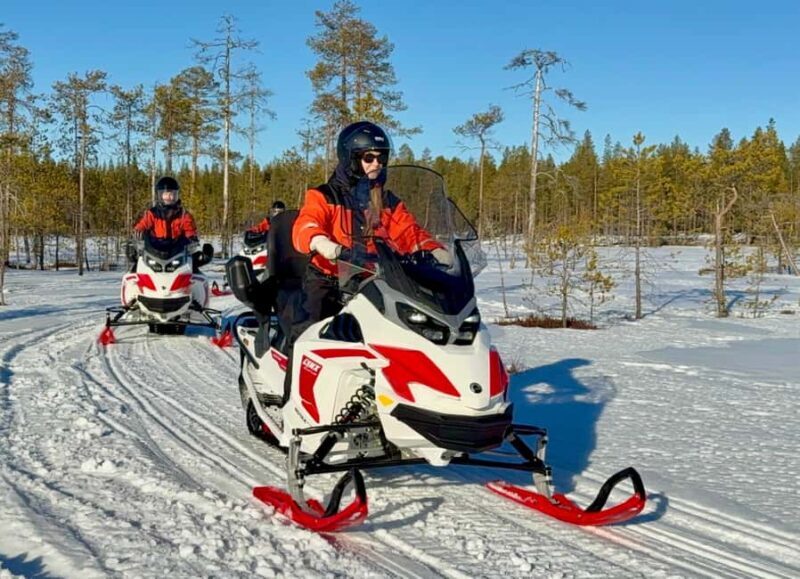 Rovaniemi: 4h Electric Snowmobile Safari at Reindeer Farm - Who Will Love This Experience?
