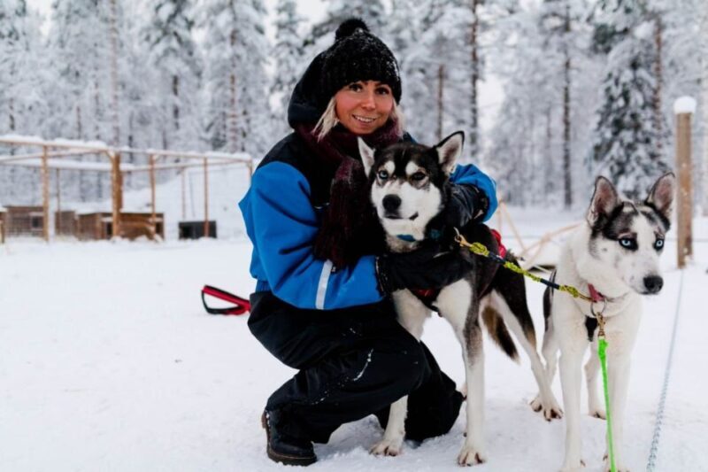 Rovaniemi: 7-Kilometer Self-Driven Apukka Husky Adventure - Key Points
