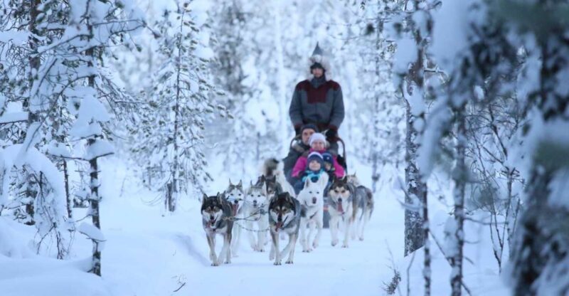 Rovaniemi: 7km Self-Drive Husky Sleigh Ride Adventure - FAQs