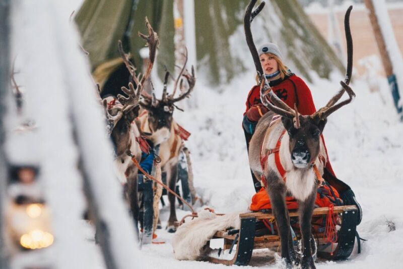 Rovaniemi: Apukka Reindeer Sleigh Ride at Night - An In-Depth Look at the Experience