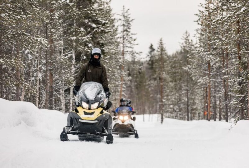 Rovaniemi: Arctic Circle Family-Friendly Snowmobile Tour - Key Points
