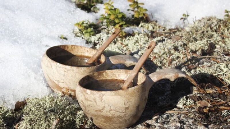 Rovaniemi: Arctic Circle Family-Friendly Snowmobile Tour - An Honest Breakdown of the Arctic Circle Snowmobile Tour