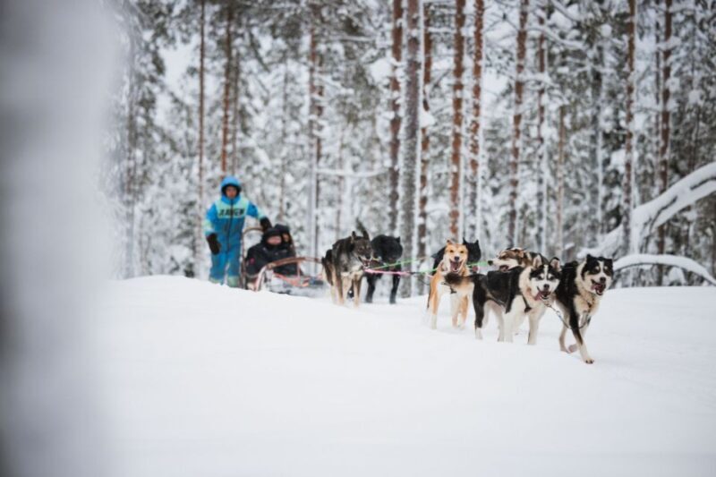 Rovaniemi: Arctic Circle Highlights by Snowmobile - The Itinerary: What’s Included and Why It Matters